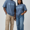 hi_blue_blue_2 Dusty Blue T-Shirt